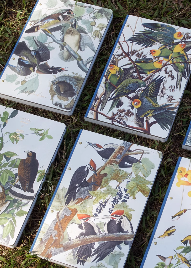 16K Sketchbook < Audubon: Birds of America > Brooklyn Museum