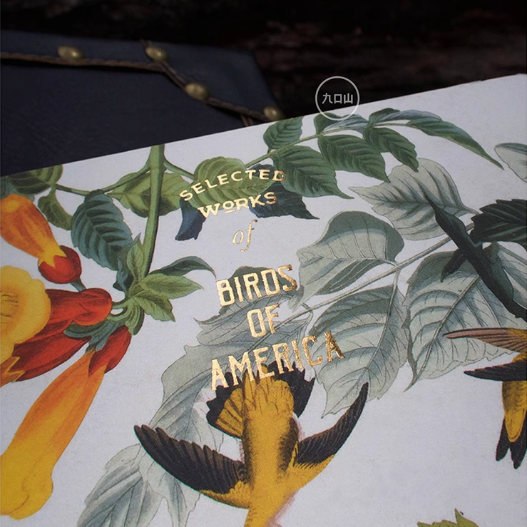 16K Sketchbook < Audubon: Birds of America > Brooklyn Museum