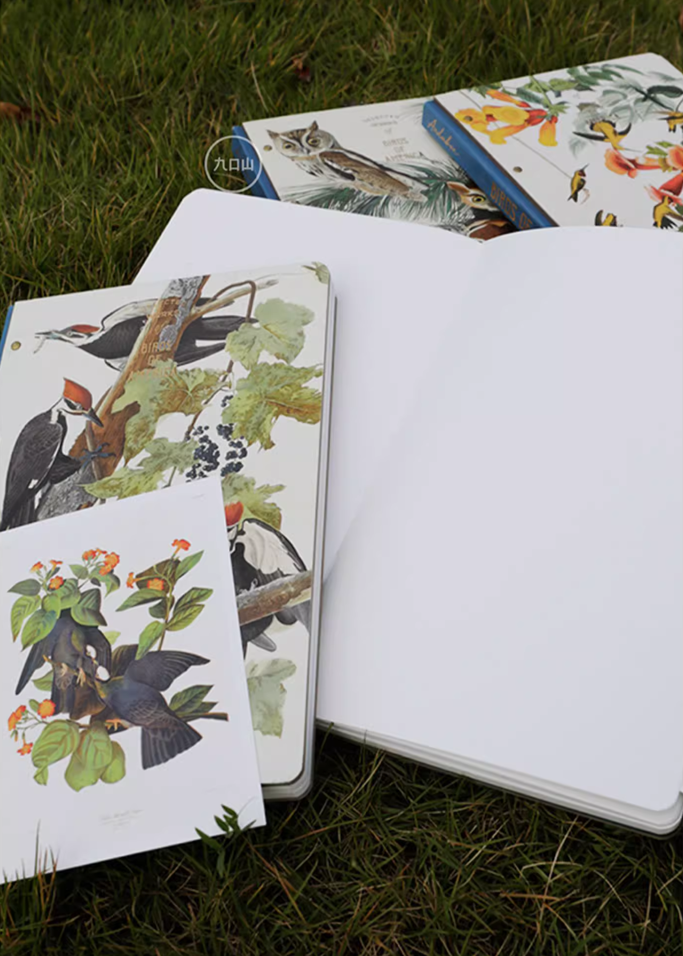 16K Sketchbook < Audubon: Birds of America > Brooklyn Museum