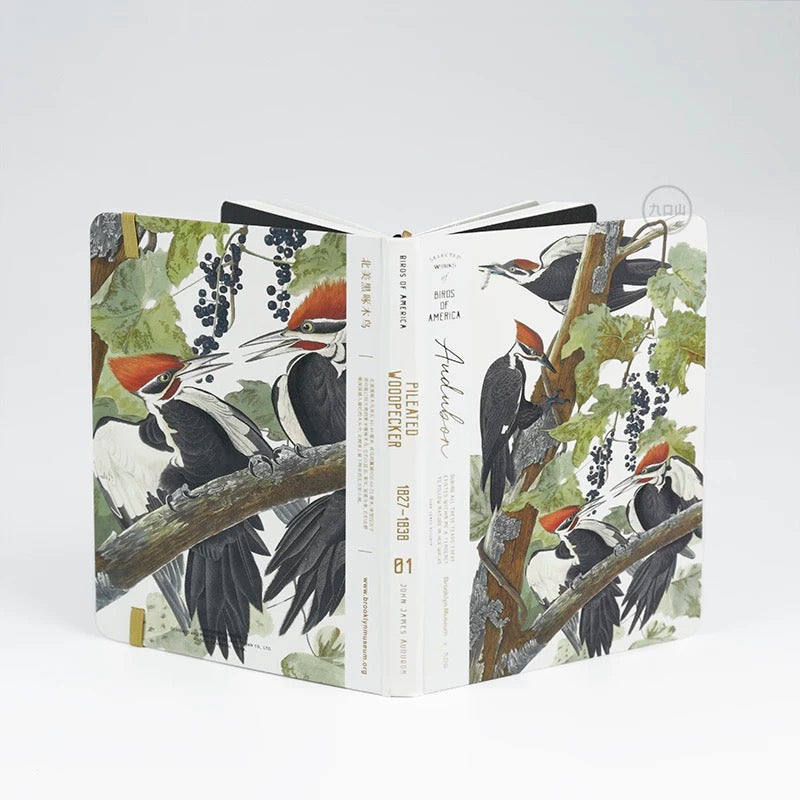 B6 Notebook < Audubon: Birds of America > Brooklyn Museum