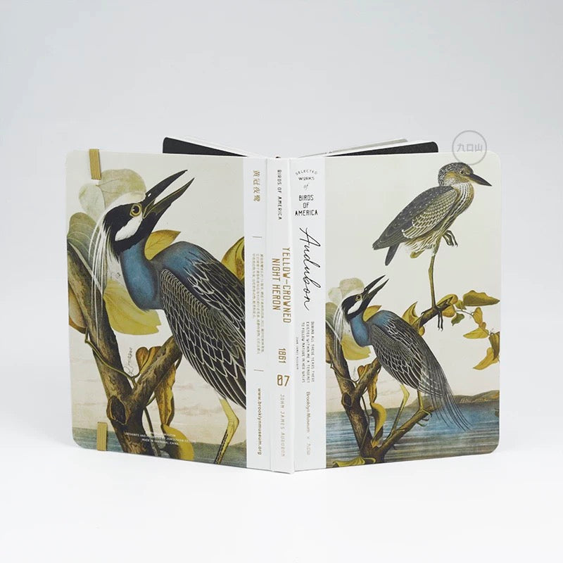 B6 Notebook < Audubon: Birds of America > Brooklyn Museum