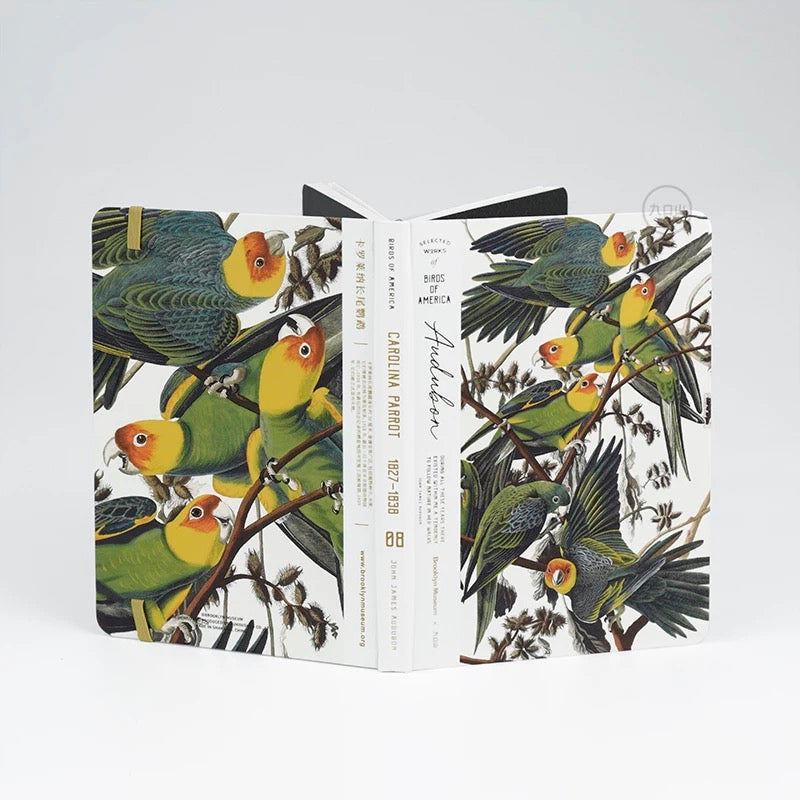 B6 Notebook < Audubon: Birds of America > Brooklyn Museum