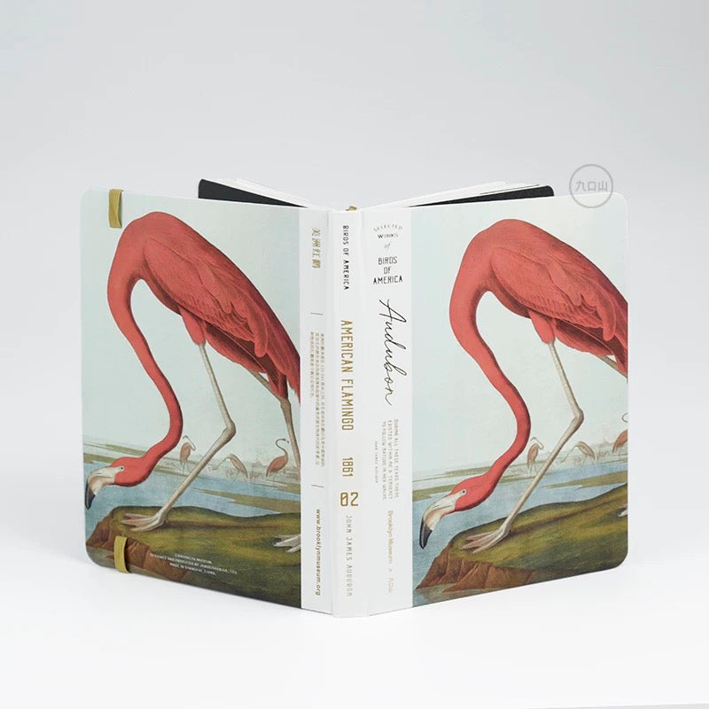 B6 Notebook < Audubon: Birds of America > Brooklyn Museum
