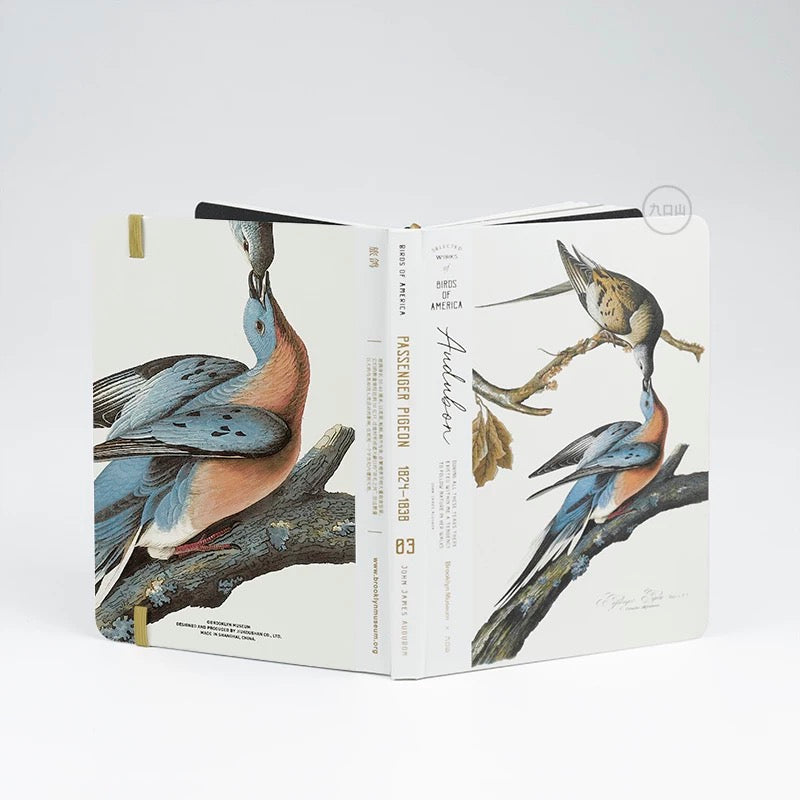 B6 Notebook < Audubon: Birds of America > Brooklyn Museum