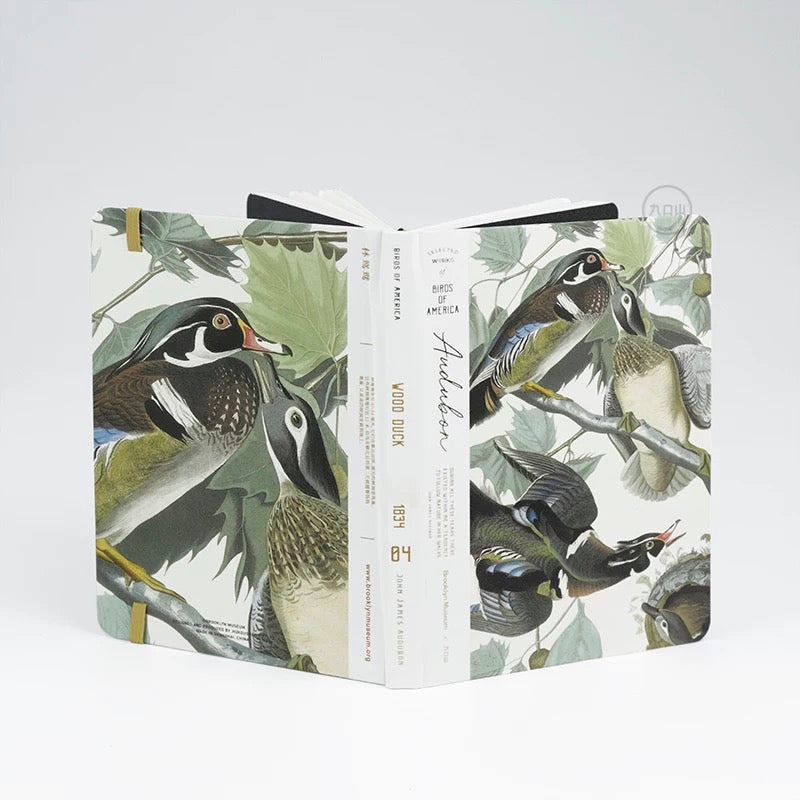 B6 Notebook < Audubon: Birds of America > Brooklyn Museum
