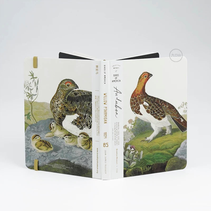 B6 Notebook < Audubon: Birds of America > Brooklyn Museum