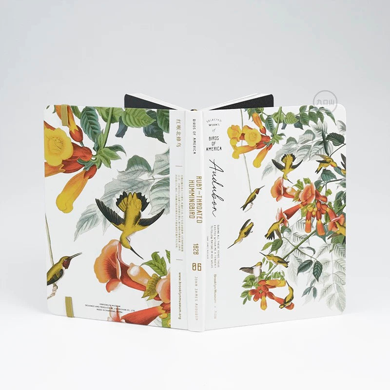 B6 Notebook < Audubon: Birds of America > Brooklyn Museum
