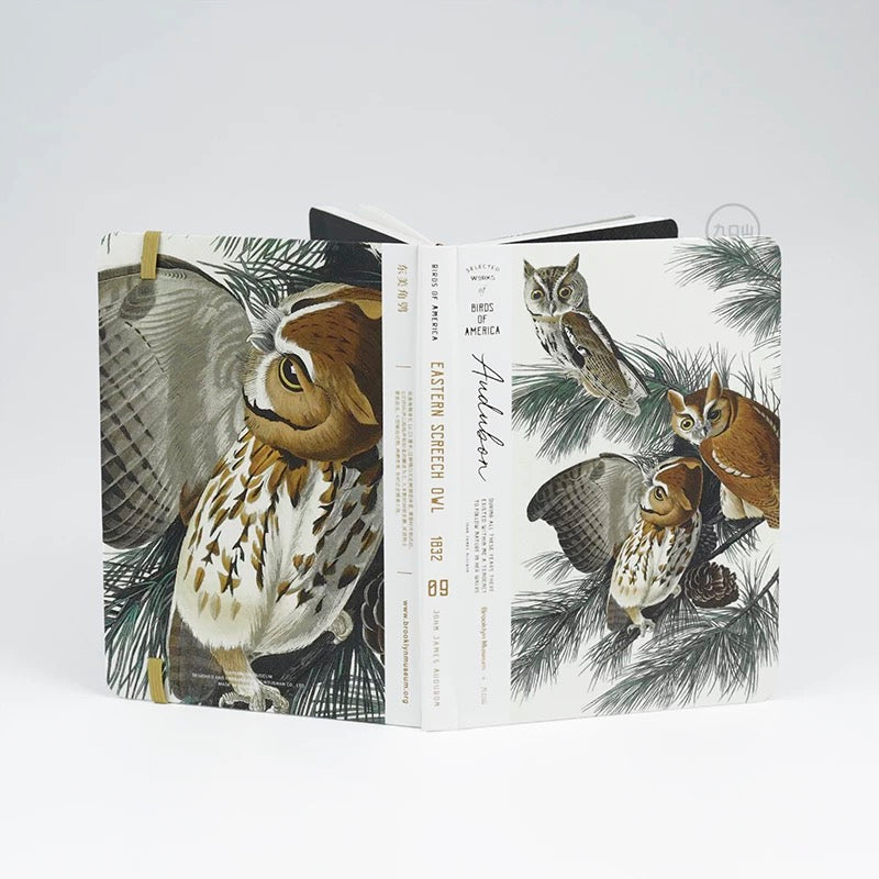 B6 Notebook < Audubon: Birds of America > Brooklyn Museum