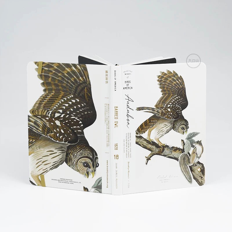B6 Notebook < Audubon: Birds of America > Brooklyn Museum