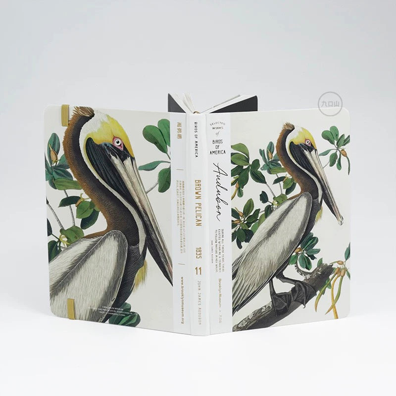 B6 Notebook < Audubon: Birds of America > Brooklyn Museum
