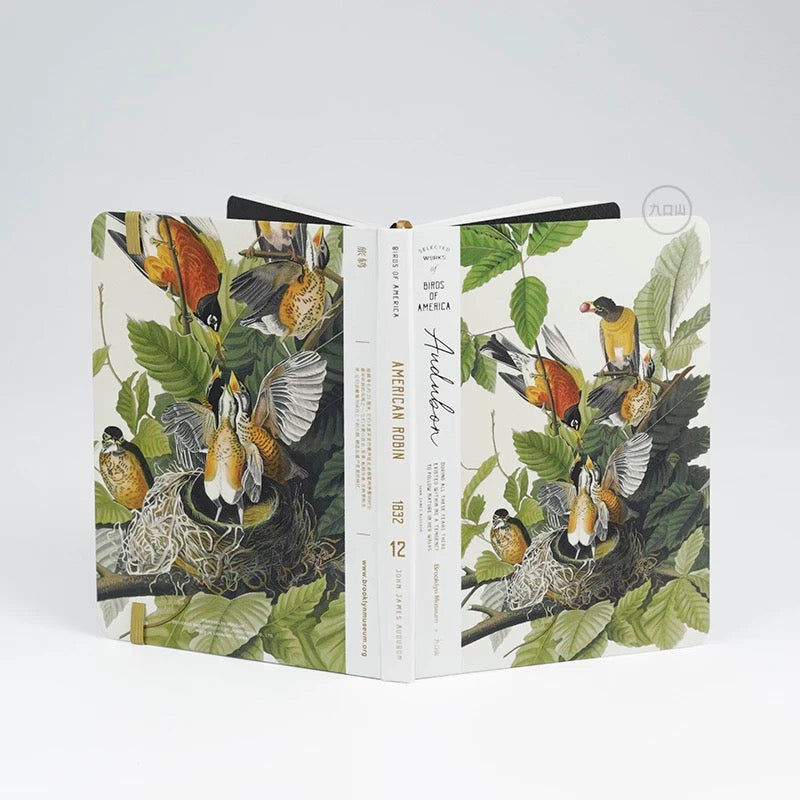 B6 Notebook < Audubon: Birds of America > Brooklyn Museum