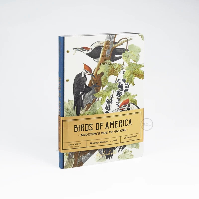 16K Sketchbook < Audubon: Birds of America > Brooklyn Museum