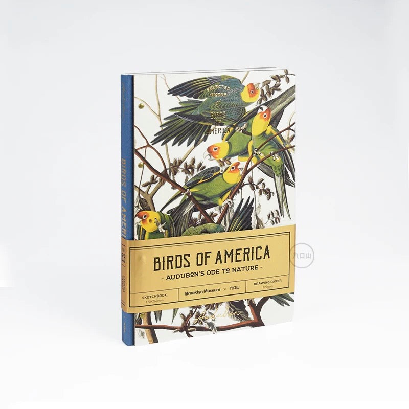 16K Sketchbook < Audubon: Birds of America > Brooklyn Museum