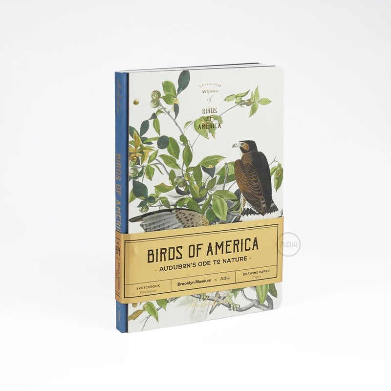 16K Sketchbook < Audubon: Birds of America > Brooklyn Museum