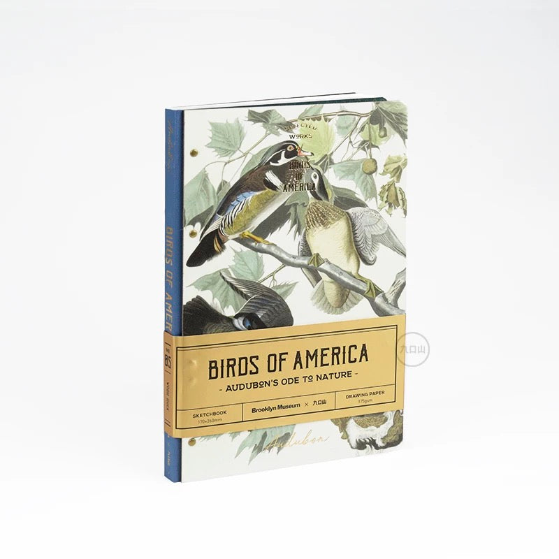 16K Sketchbook < Audubon: Birds of America > Brooklyn Museum