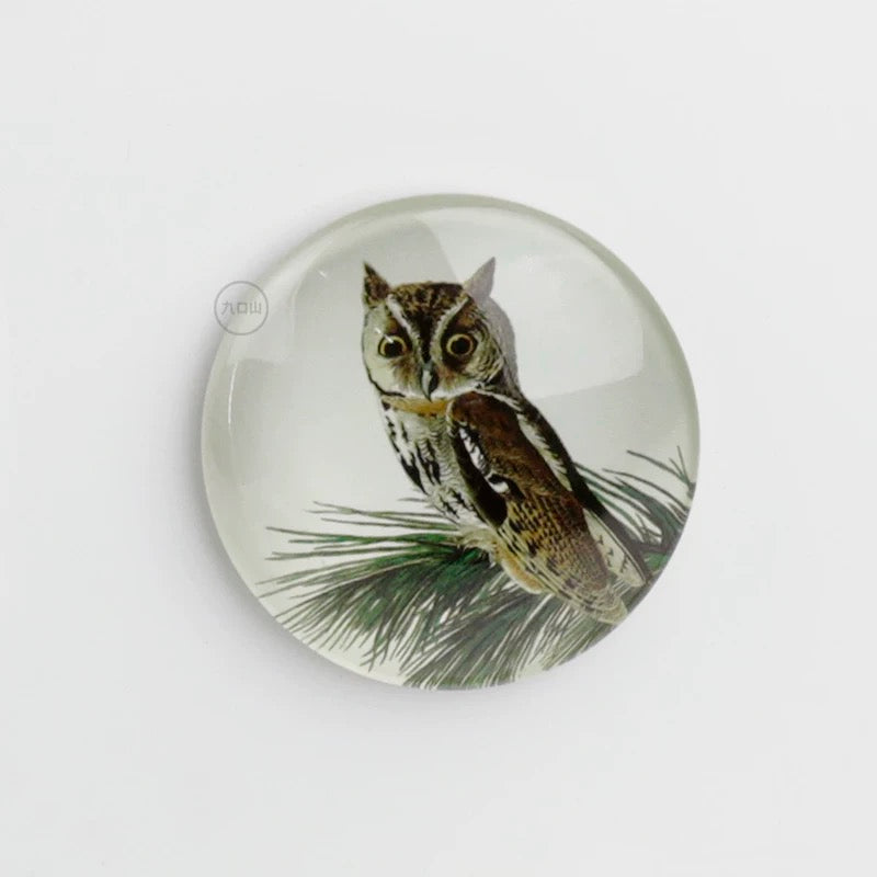 Magnet < Audubon: Birds of America > Brooklyn Museum