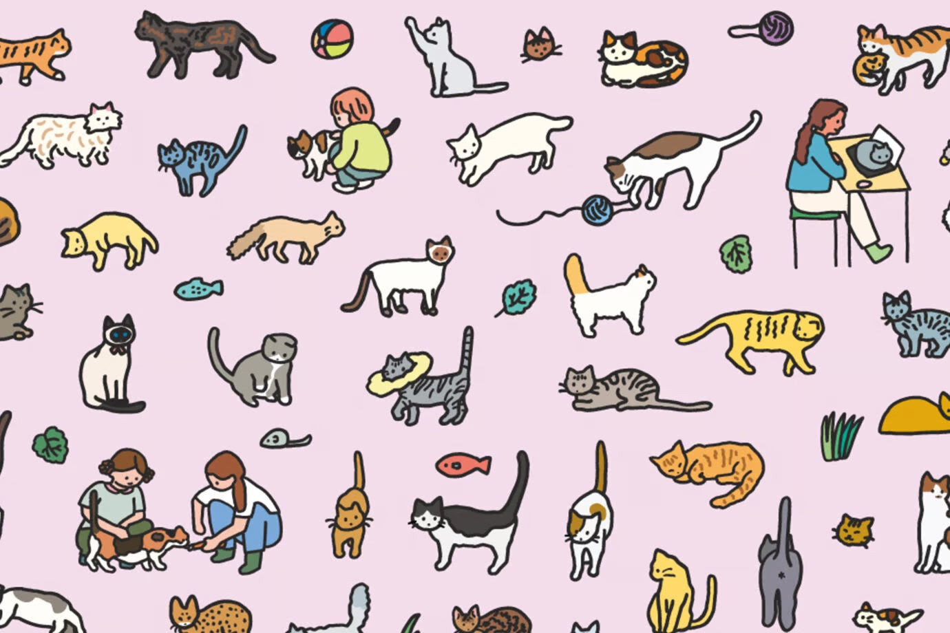 Graphic Dictionary Poster < Cat dictionary 1 >