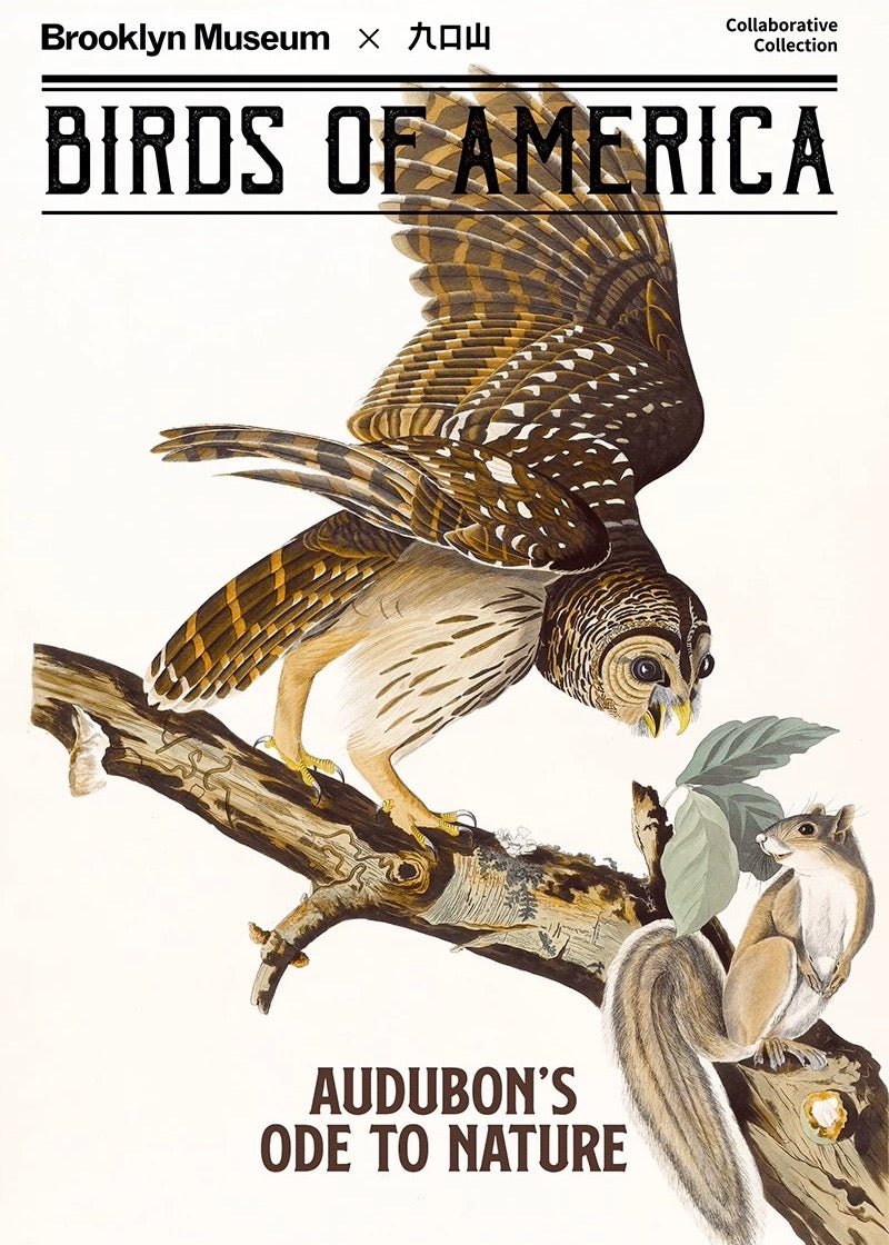 B6 Notebook < Audubon: Birds of America > Brooklyn Museum