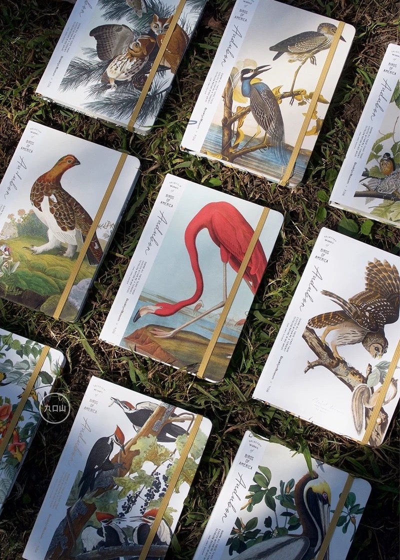 B6 Notebook < Audubon: Birds of America > Brooklyn Museum