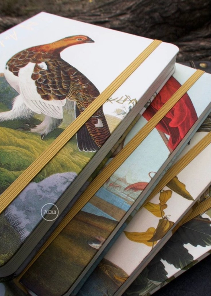 B6 Notebook < Audubon: Birds of America > Brooklyn Museum