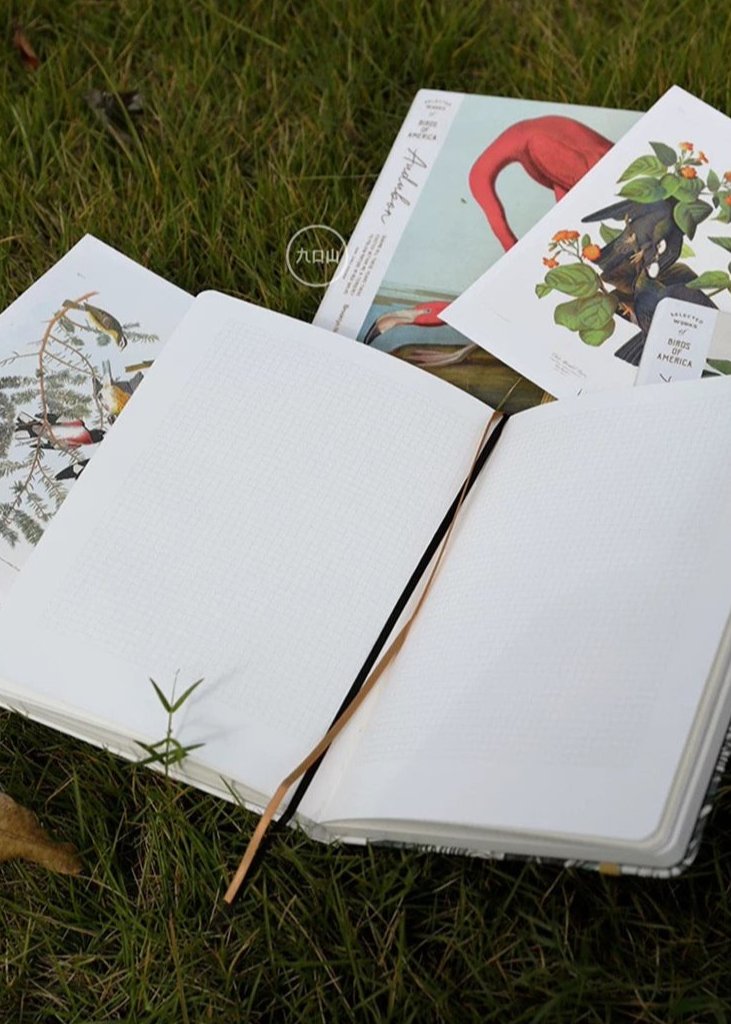 B6 Notebook < Audubon: Birds of America > Brooklyn Museum