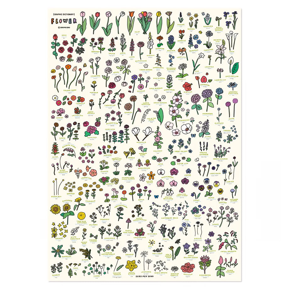 Graphic Dictionary Poster < Flowers >