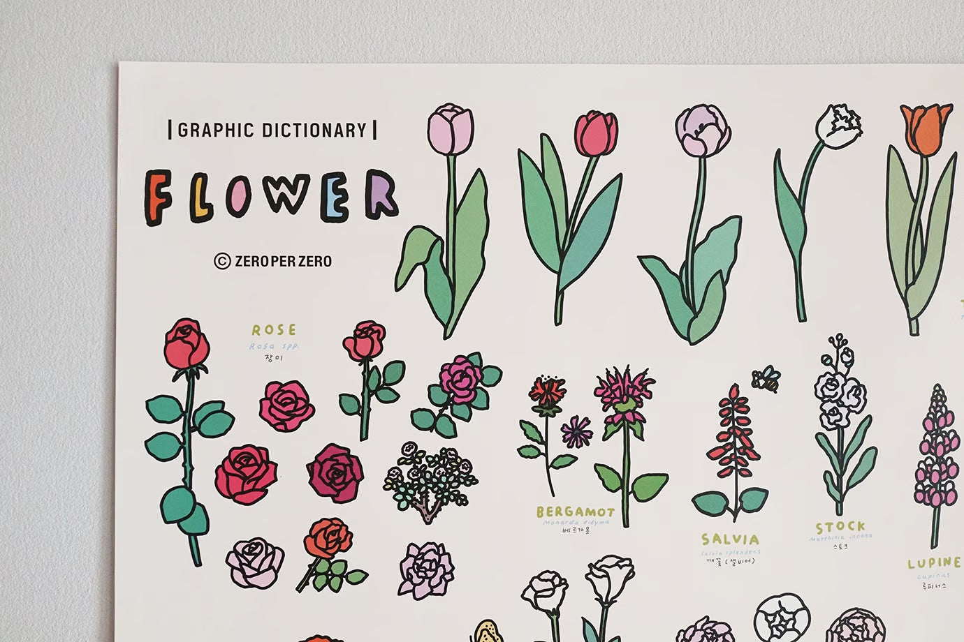 Graphic Dictionary Poster < Flowers >