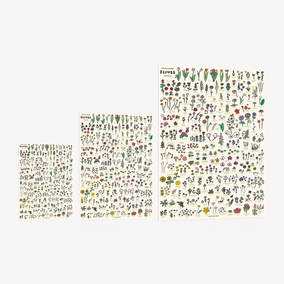 Graphic Dictionary Poster < Flowers >