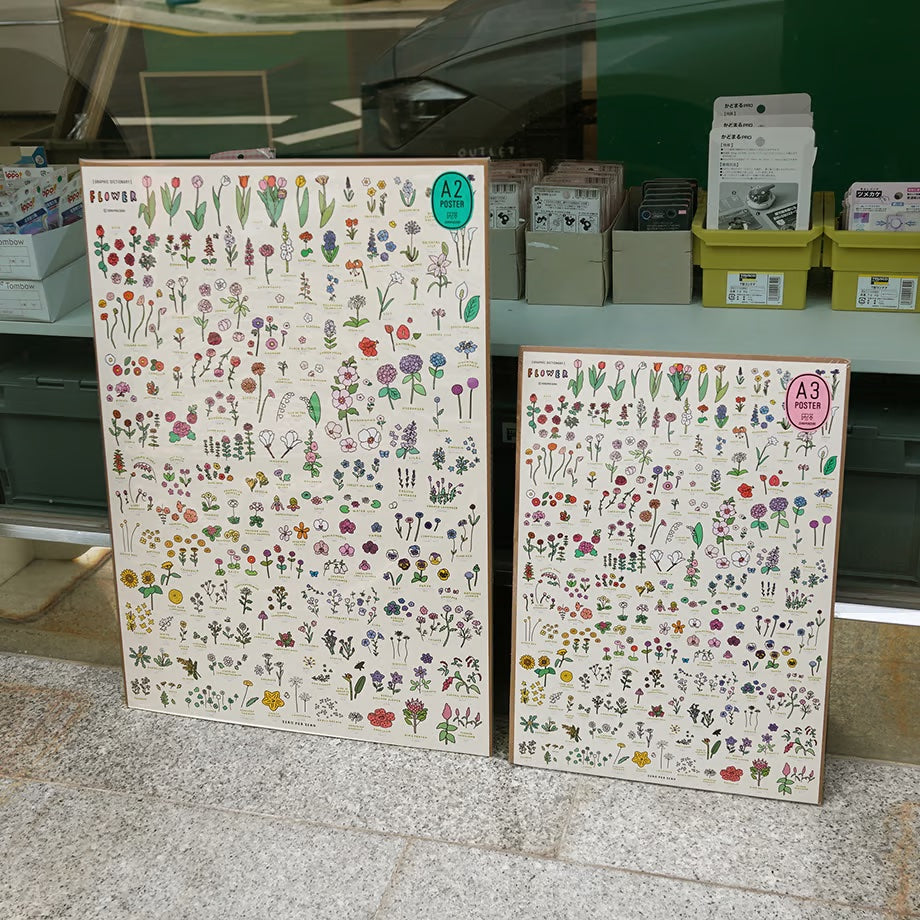 Graphic Dictionary Poster < Flowers >