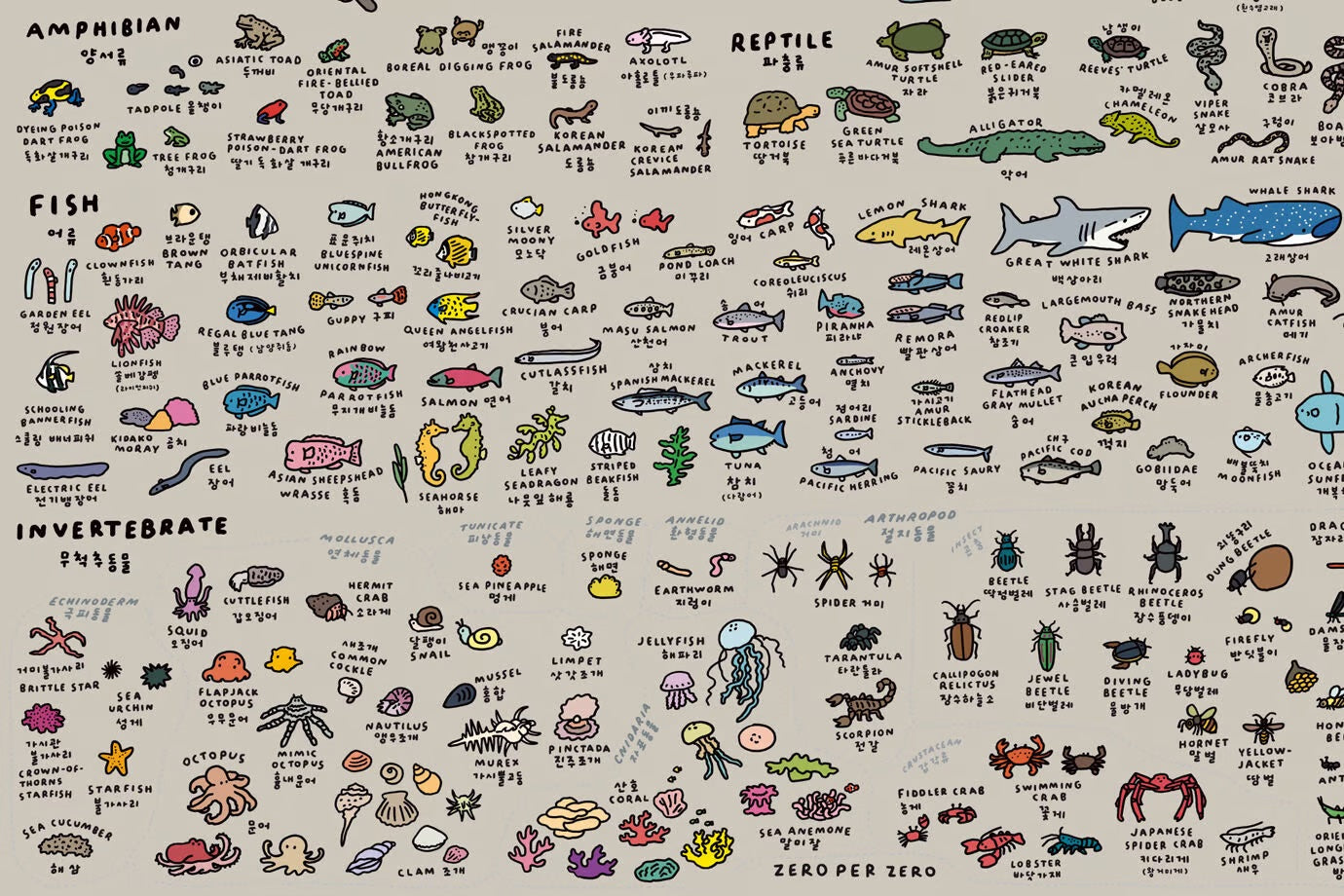 Graphic Dictionary Poster < Animal dictionary >