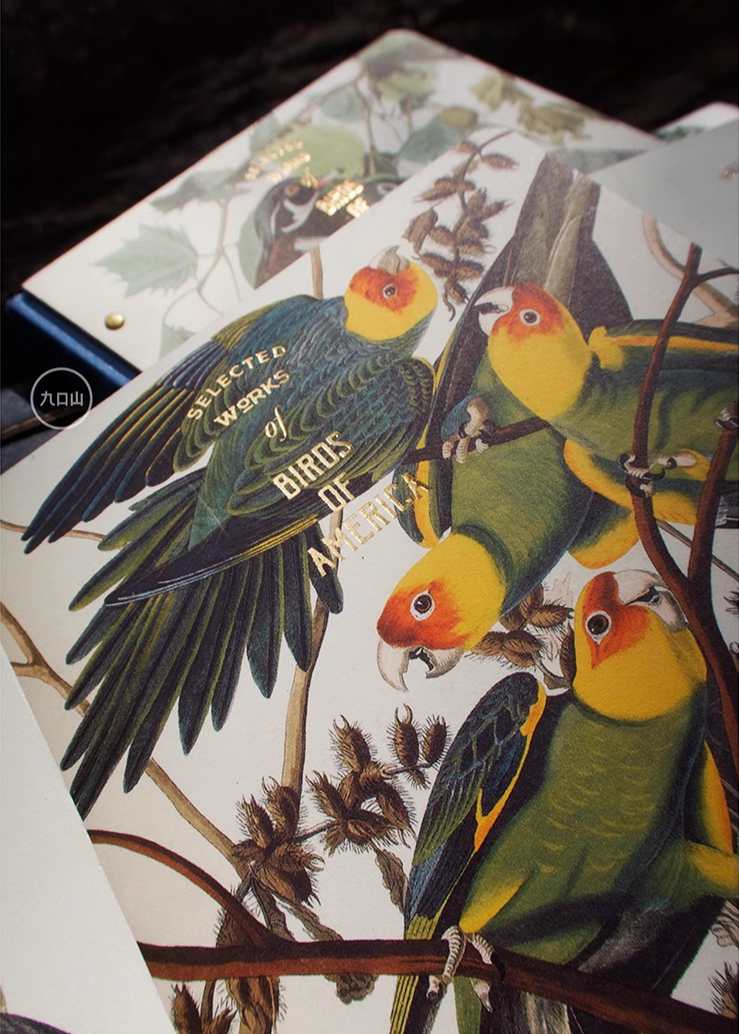 16K Sketchbook < Audubon: Birds of America > Brooklyn Museum