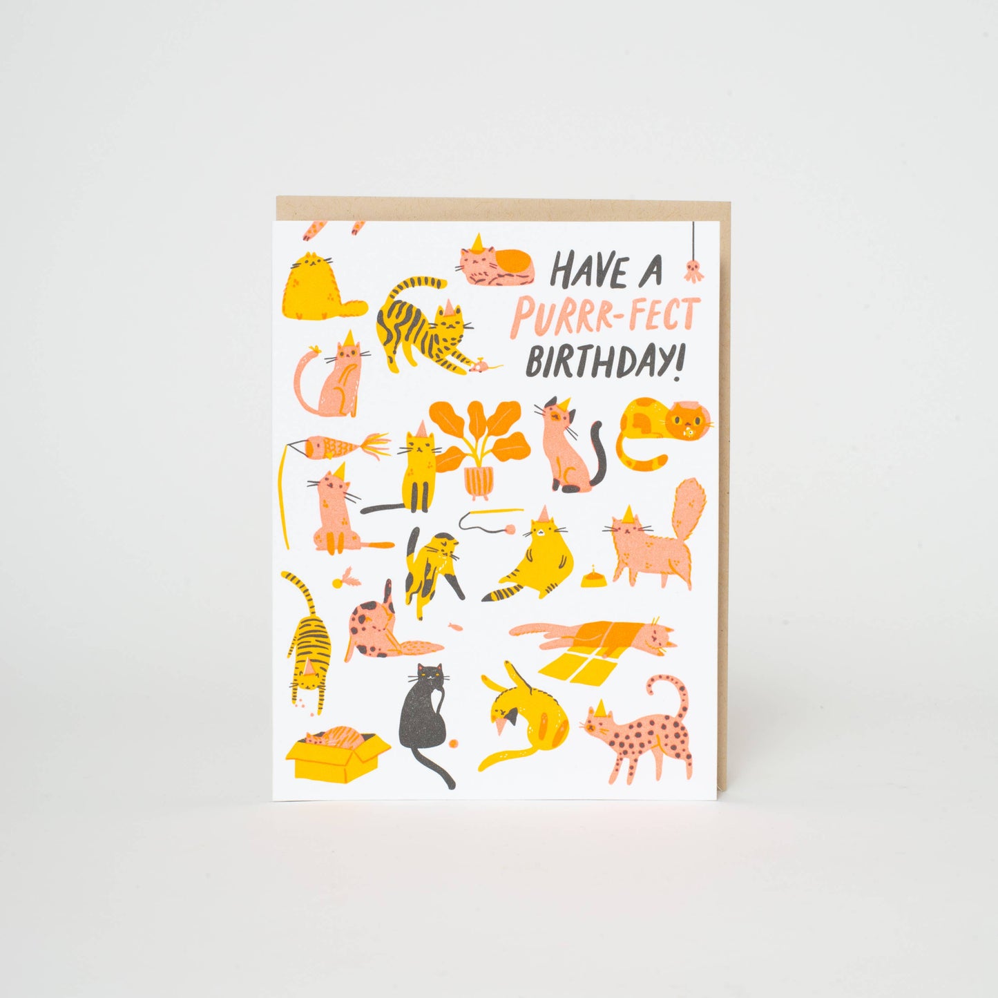 Birthday Purr-fect Cats