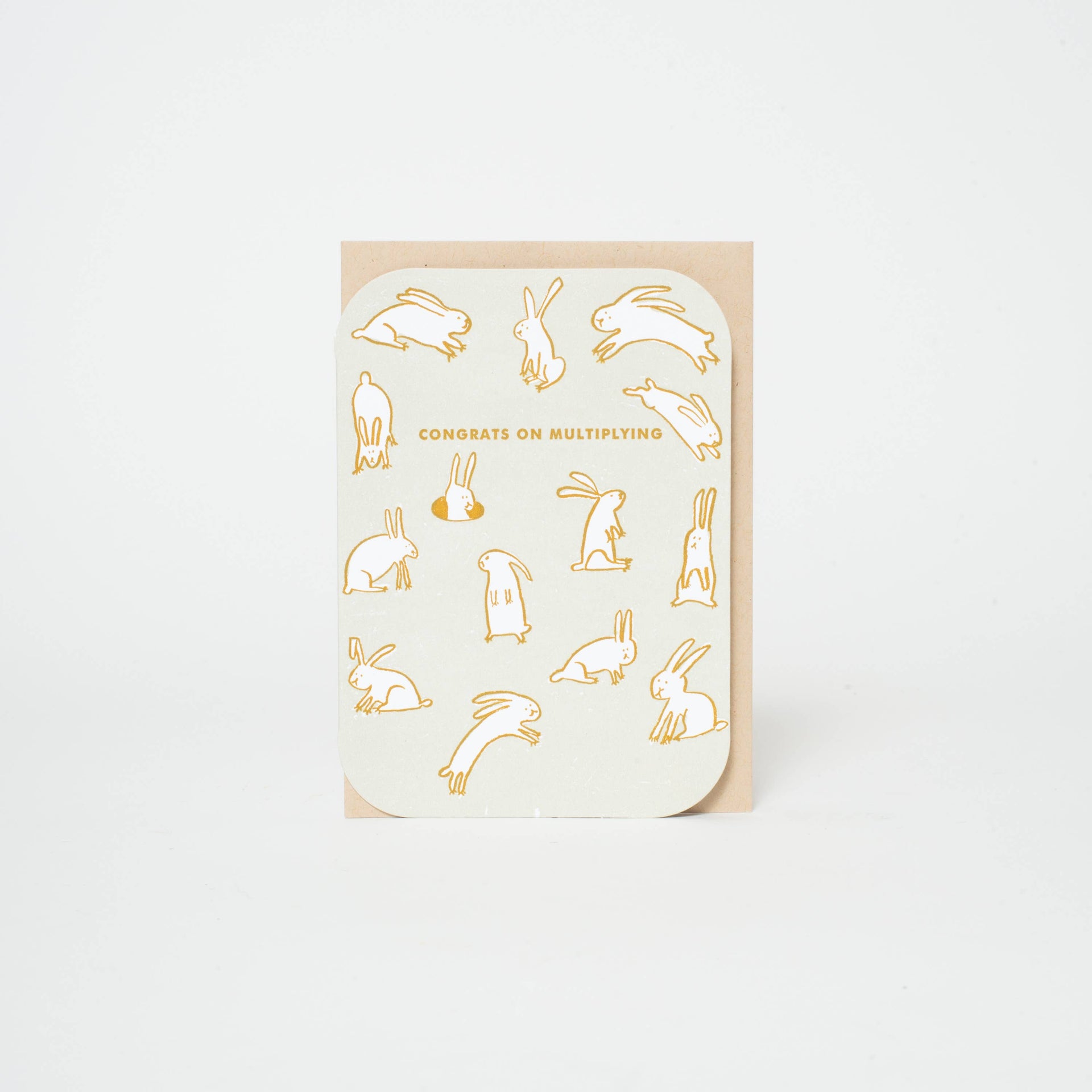 Multiplying Baby Rabbits