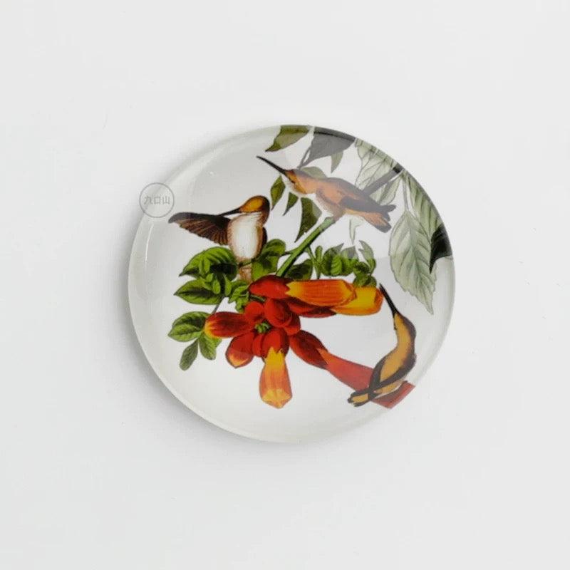 Magnet < Audubon: Birds of America >  Brooklyn Museum