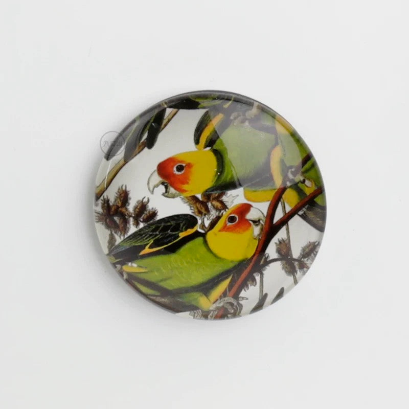 Magnet < Audubon: Birds of America >  Brooklyn Museum