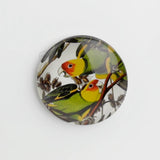 Magnet < Audubon: Birds of America >  Brooklyn Museum