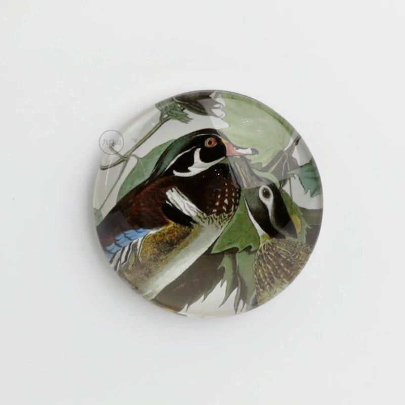 Magnet < Audubon: Birds of America >  Brooklyn Museum