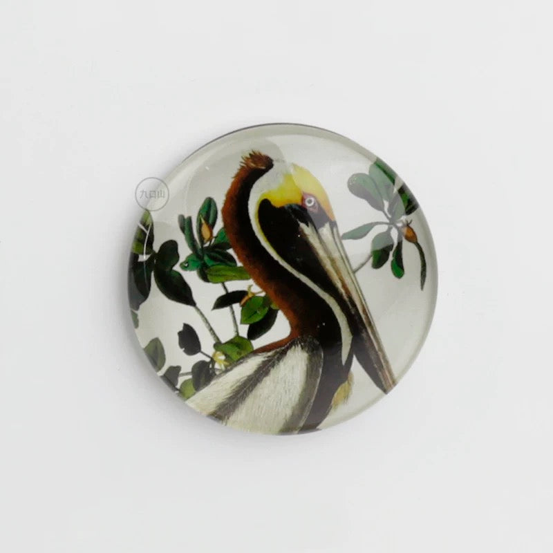 Magnet < Audubon: Birds of America >  Brooklyn Museum