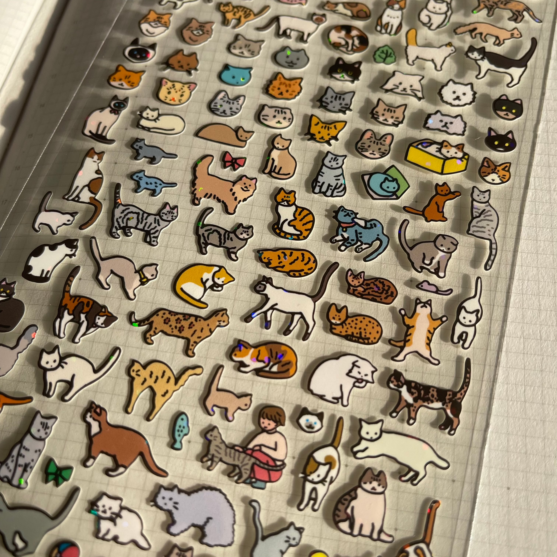 Journal sticker < Cat >