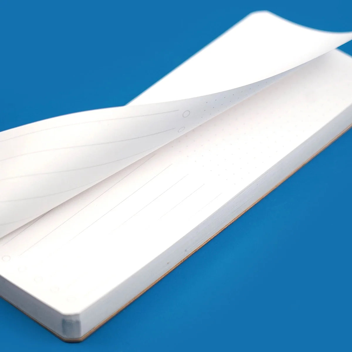 Dapper Notes Todoodle Notepad