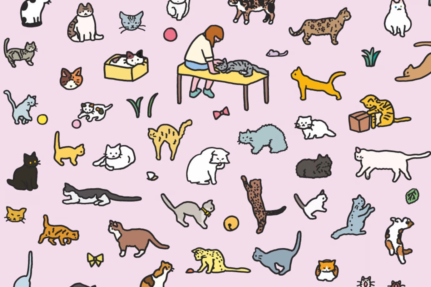 Graphic Dictionary Poster < Cat dictionary 1 >
