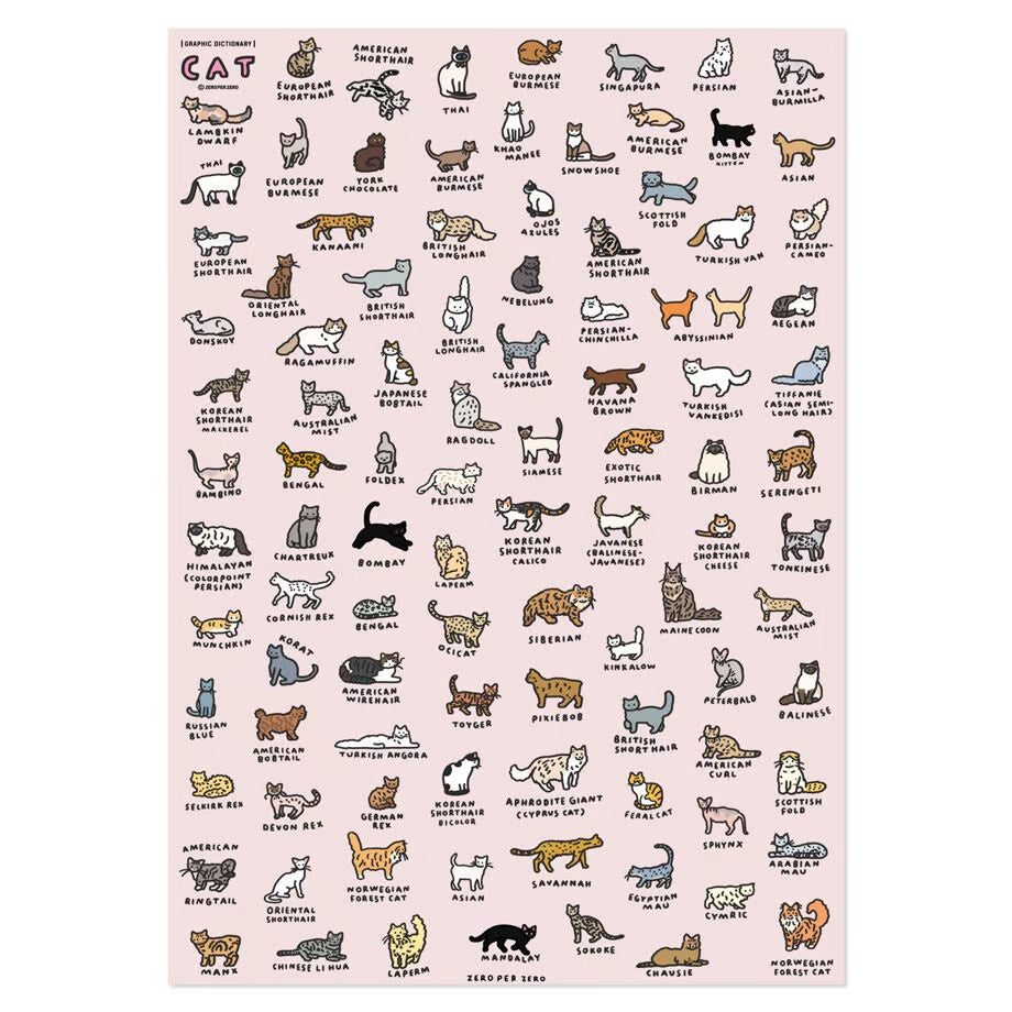 Graphic Dictionary Poster < Cat dictionary 2 >