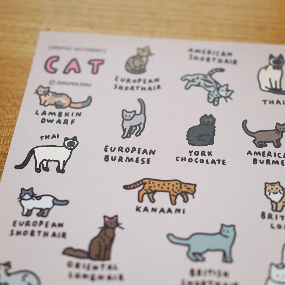 Graphic Dictionary Poster < Cat dictionary 2 >