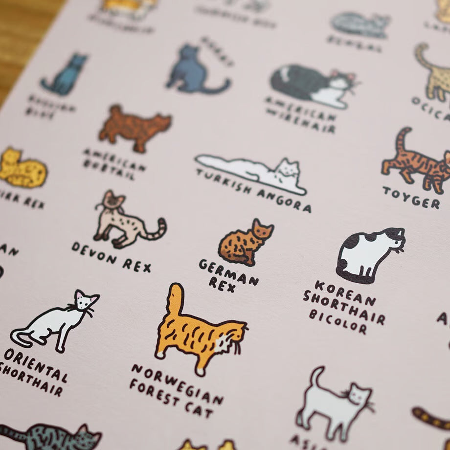 Graphic Dictionary Poster < Cat dictionary 2 >