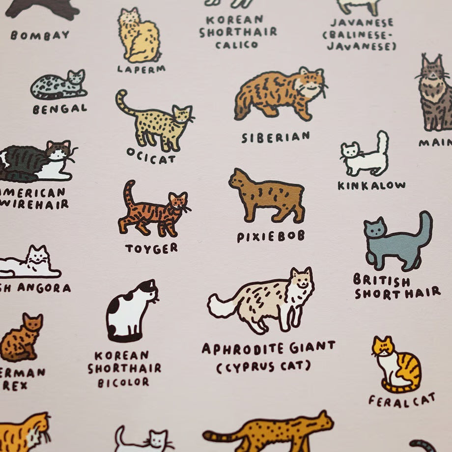 Graphic Dictionary Poster < Cat dictionary 2 >