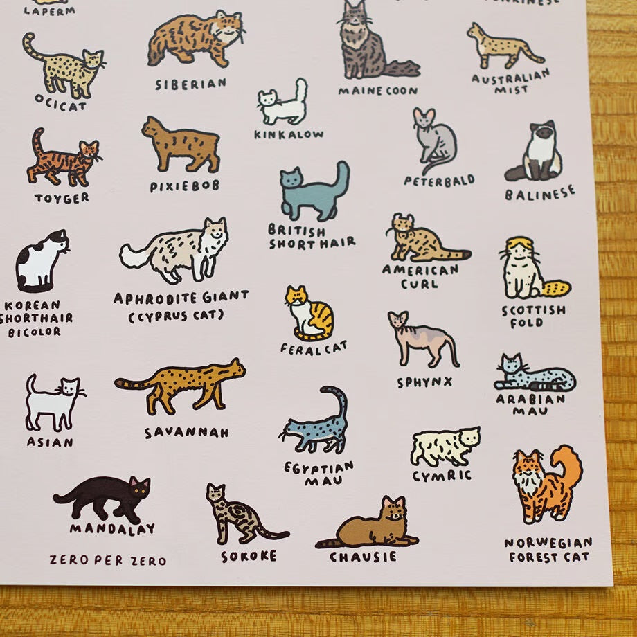 Graphic Dictionary Poster < Cat dictionary 2 >