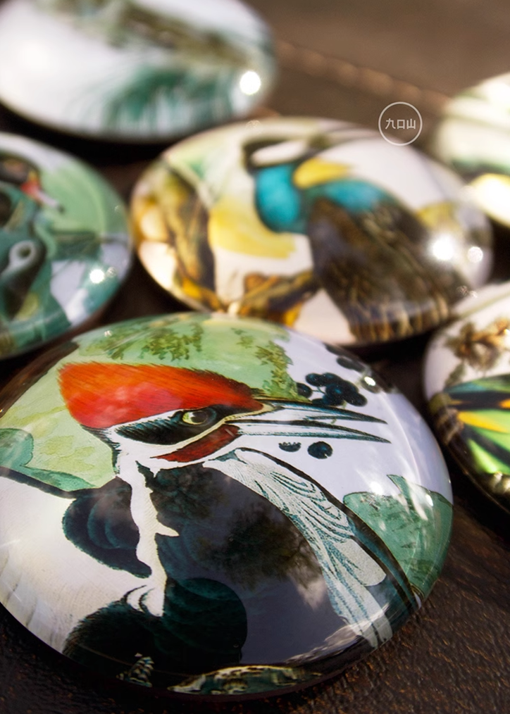 Magnet < Audubon: Birds of America >  Brooklyn Museum