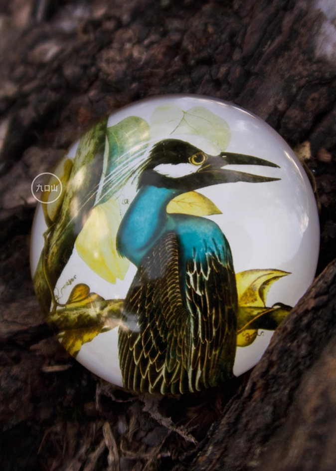 Magnet < Audubon: Birds of America >  Brooklyn Museum