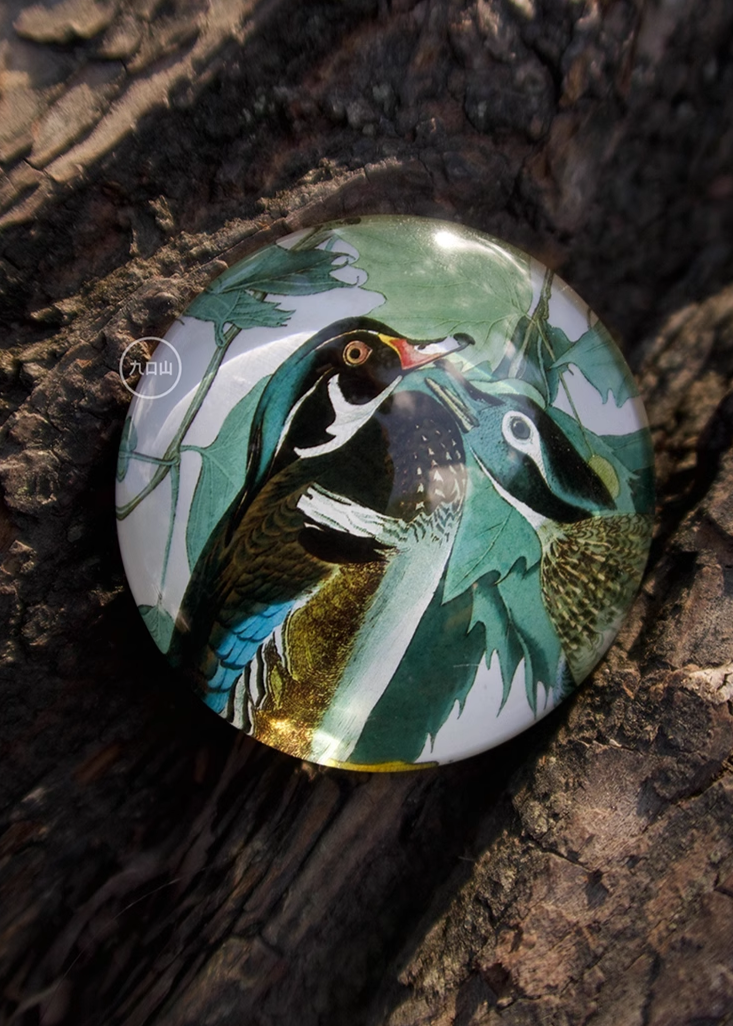 Magnet < Audubon: Birds of America >  Brooklyn Museum