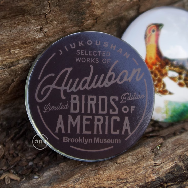 Magnet < Audubon: Birds of America >  Brooklyn Museum